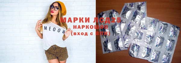ГАЛЛЮЦИНОГЕННЫЕ ГРИБЫ Баксан